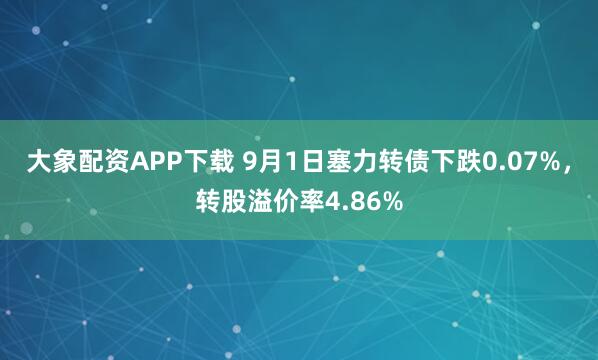 大象配资APP下载 9月1日塞力转债下跌0.07%，转股溢价率4.86%