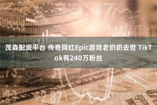 茂森配资平台 传奇网红Epic游戏老奶奶去世 TikTok有240万粉丝