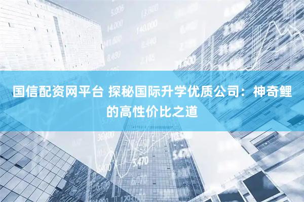 国信配资网平台 探秘国际升学优质公司：神奇鲤的高性价比之道